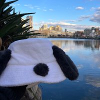 いかっち (@ikatch0423) 's Twitter Profile