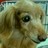 kochimi0618's profile image