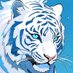 Blue tiger(éè)è¶£å³å¢ (@satoshio1123) Twitter profile photo Blue tiger(éè)è¶£å³å¢ (@satoshio1123) Twitter profile photo