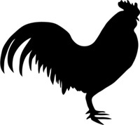 CreditUnionFeed's profile picture. A simple news aggregator for #creditunions see fresh content and discover new blogs! Check us out http://t.co/Owmb6xGYSB