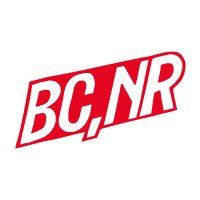 BlackCountry,NewRoad (@bcnrband) 's Twitter Profile