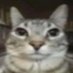 SpammyEmails (@spammyemails) Twitter profile photo SpammyEmails (@spammyemails) Twitter profile photo