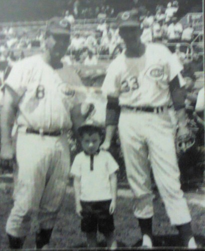 cattman11's profile picture. 