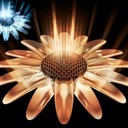 Dulce Carrera - @Carrea_Viviana - Twitter