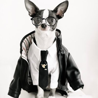 hongshop123's profile picture. 