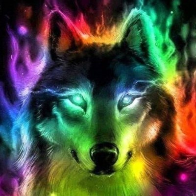 Webwolf 🌐🐺 Profile