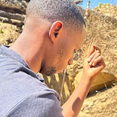 faisal25511's profile picture. 