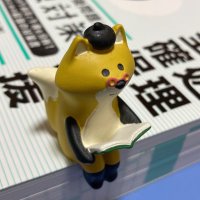 suttoko@勉強積み上げ用 (@suttoko_study) 's Twitter Profile