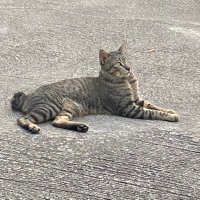 🗝️ Abyss (@effervescent785) 's Twitter Profile Photo