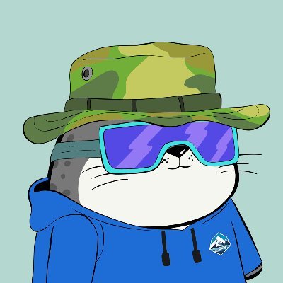 DvdNova1984's profile picture. Hello!