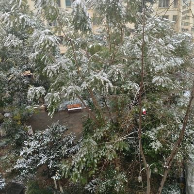 PGgy379's profile picture. 四年老韮菜