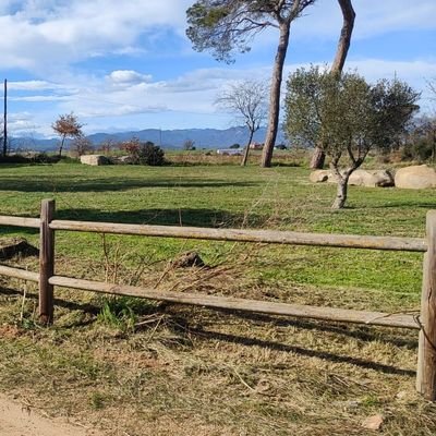 Som els txitxarel·los necessaris de la farsa estatal