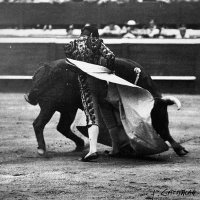 luis González (@luiseugeniogon5) 's Twitter Profile Photo