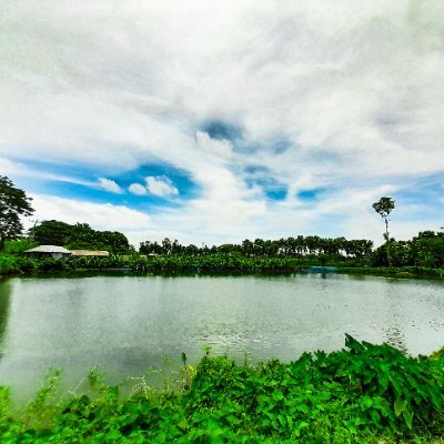 citi81110263021's profile picture. 