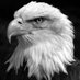 Kartal Hükmü (@kartalhukmu) Twitter profile photo Kartal Hükmü (@kartalhukmu) Twitter profile photo