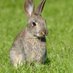 @kasungura🫣🐇🐇🐇 (@jamesandrew0571) Twitter profile photo @kasungura🫣🐇🐇🐇 (@jamesandrew0571) Twitter profile photo