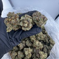 Exotic Flowers (@exoticf6) 's Twitter Profile