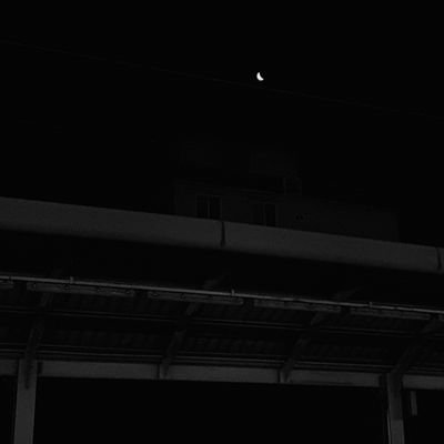 ssssneipas's profile picture. 성인