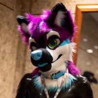 Purple Dog!? ✈️TFF🔜LVFC!? (@purpleafterbark) 's Twitter Profile Photo