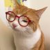 Kite, fcpa (@meetkitee) Twitter profile photo Kite, fcpa (@meetkitee) Twitter profile photo