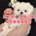 钮祜禄小姨 (@y59391325) Twitter profile photo 钮祜禄小姨 (@y59391325) Twitter profile photo