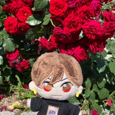 くーみん (@kumi_ablove0929) / Posts / X