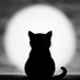 Kazutaka Obika (@obikamusic) Twitter profile photo Kazutaka Obika (@obikamusic) Twitter profile photo