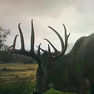 SteveMc80325866's profile picture. Mountain life, avid outdoorsman, practical nurse, father, Marine dad, Army veteran.