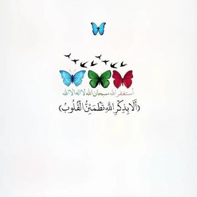 ashaelec's profile picture. من معلم گشته ام تا جهان اطرافم رو زیبا کنم