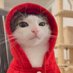 Nacho (@zherathor) Twitter profile photo Nacho (@zherathor) Twitter profile photo