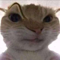 nitaa (@trililitr) 's Twitter Profile