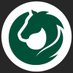 Sell Your Horse (@sellyourhorseuk) Twitter profile photo Sell Your Horse (@sellyourhorseuk) Twitter profile photo