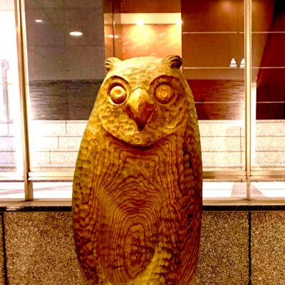 かんぱちさんのプロフィール画像