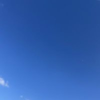 からしの (@ccnqj8u) 's Twitter Profile Photo からしの (@ccnqj8u) 's Twitter Profile Photo