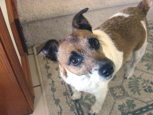 Phindemere's profile picture. 