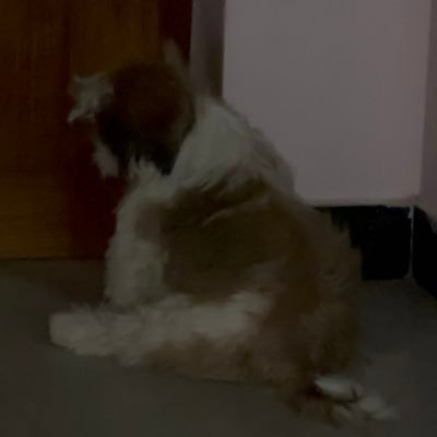 firstframe10's profile picture. 