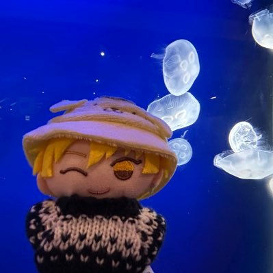 りんごさんのプロフィール画像