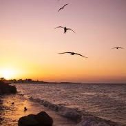 toufik1900's profile picture. La vie m’a appris à choisir le silence lorsque les mots n’ont aucun effet