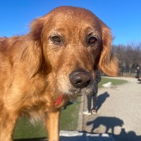 michael thompson (@mthompson1952) 's Twitter Profile