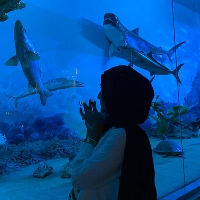 moooo0vecap's profile picture. no