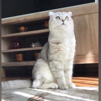 UM-AY 🇹🇷 (@umay545) 's Twitter Profile