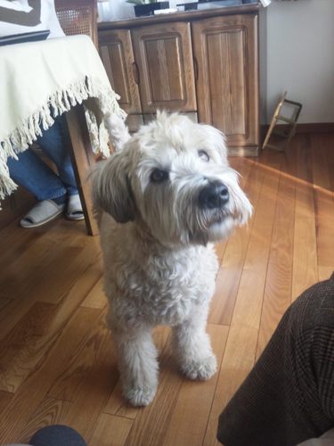 kohno3's profile picture. 退職後の悠々自適の生活エンジョーイ中、テニス中心の生活サイクル。ipodtouch, iPad, is03=au