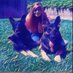 🇺🇸InGODWeTrustTRUMP🐾HM🐾🇺🇸 (@mhtgodisgood) Twitter profile photo 🇺🇸InGODWeTrustTRUMP🐾HM🐾🇺🇸 (@mhtgodisgood) Twitter profile photo