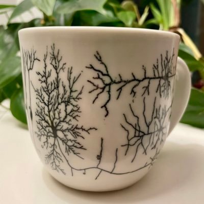 averns's profile picture. 