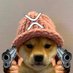 xrpwifhat support (@xrp_wifsupport) Twitter profile photo xrpwifhat support (@xrp_wifsupport) Twitter profile photo