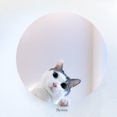 SayokoJessica's profile picture. lover of natures and cats 🐈…