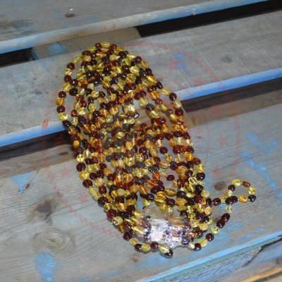 duzadamamet's profile picture. 