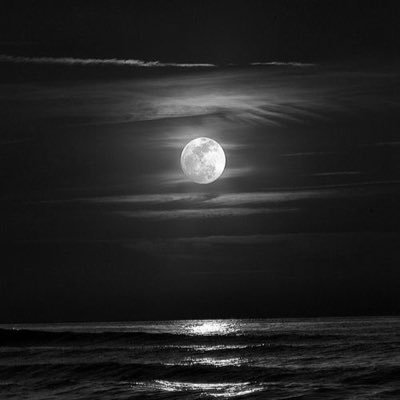 Mburton25768802's profile picture. 