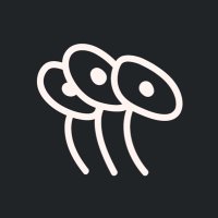 MHESTE y DESEEEA (@deseeea_diploma) 's Twitter Profile