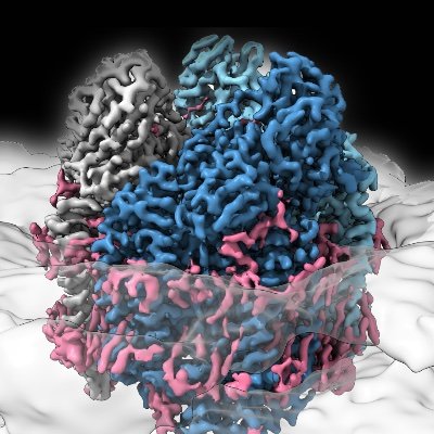 Rosenzweig Lab Profile